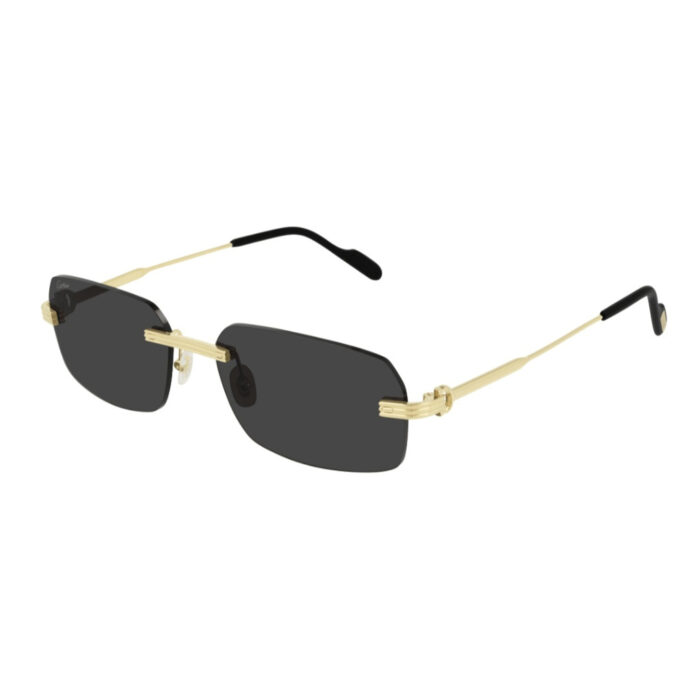 Cartier CT0271S 001 - immagine 2