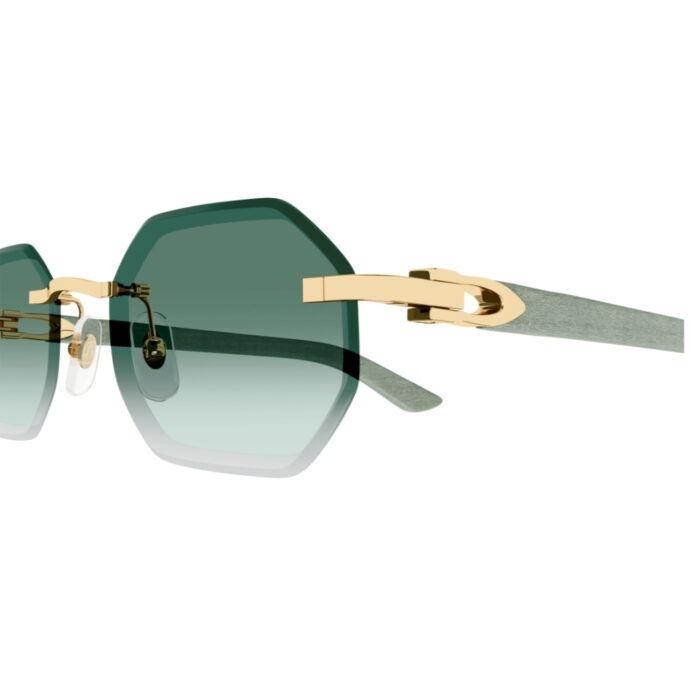 Cartier CT0439S - immagine 3