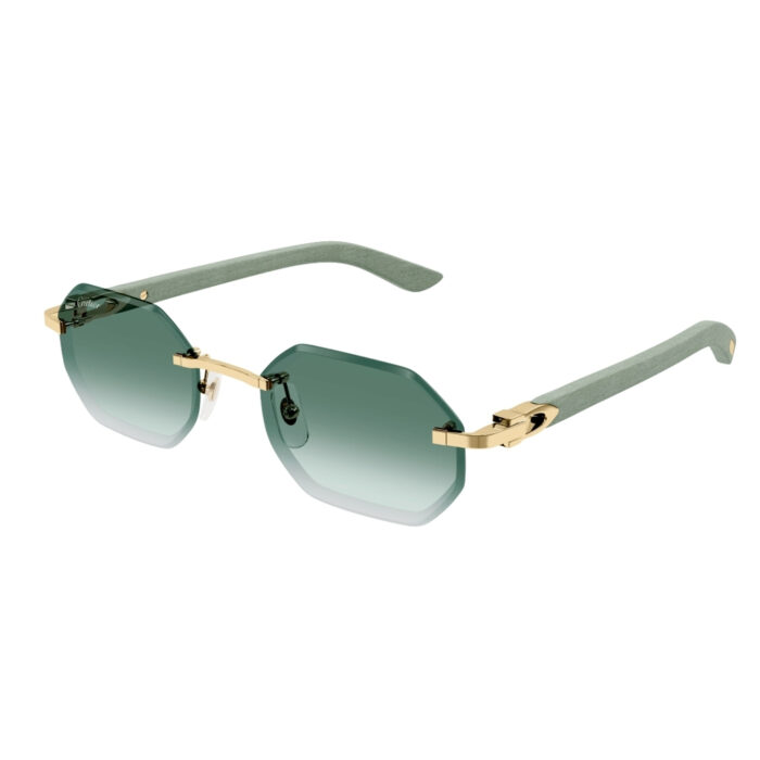 Cartier CT0439S - immagine 2