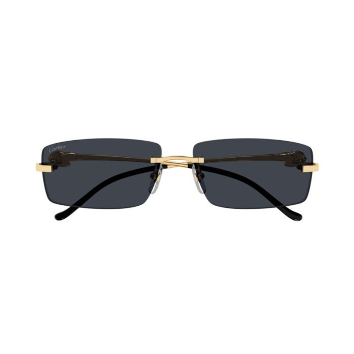 Cartier CT0430S