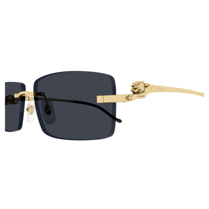 Cartier CT0430S - immagine 3