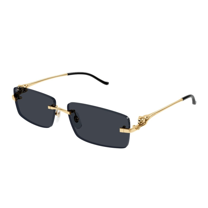Cartier CT0430S - immagine 2