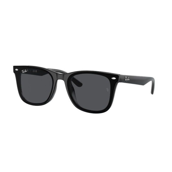 Ray-Ban SOLE RB4420