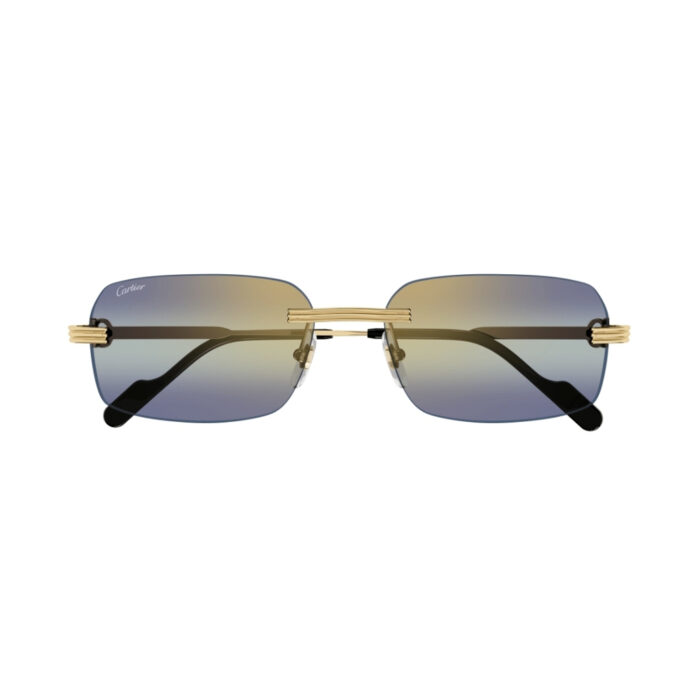 Cartier CT0271S 006