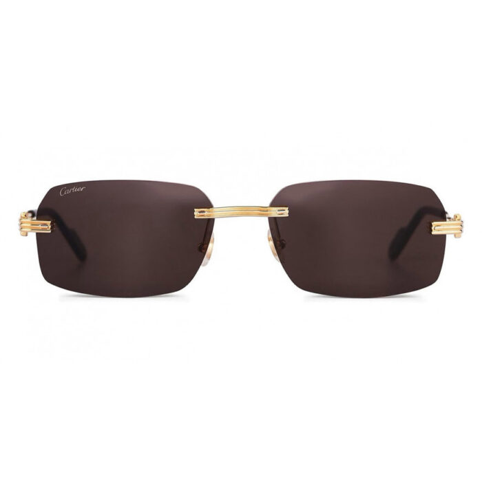Cartier CT0271S 001