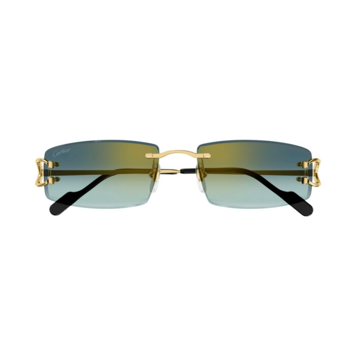 Cartier CT0465S
