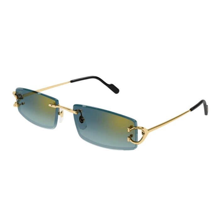 Cartier CT0465S - immagine 2