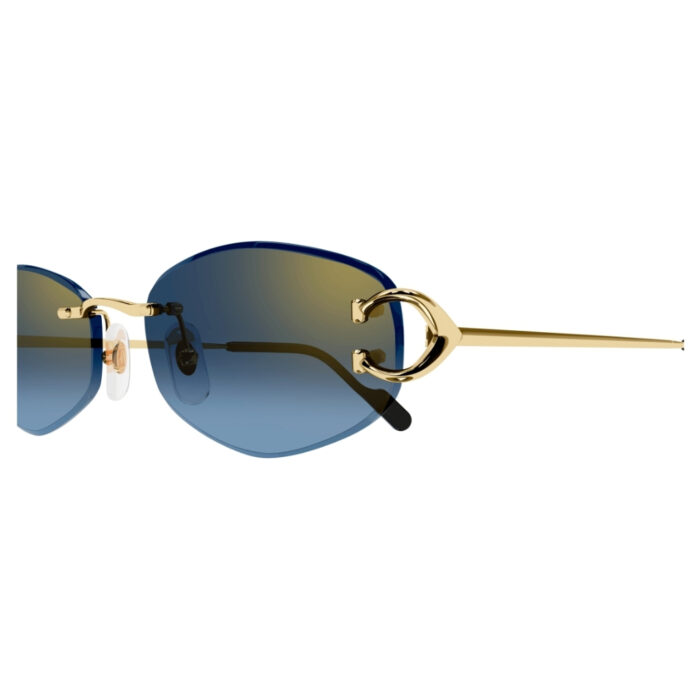 Cartier CT0467S - immagine 2