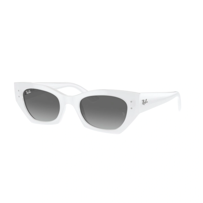 Ray-Ban SOLE RB4430 Zena