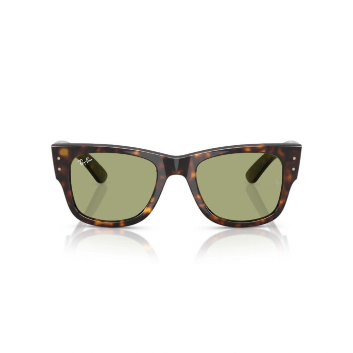 Ray-Ban SOLE RB0840S