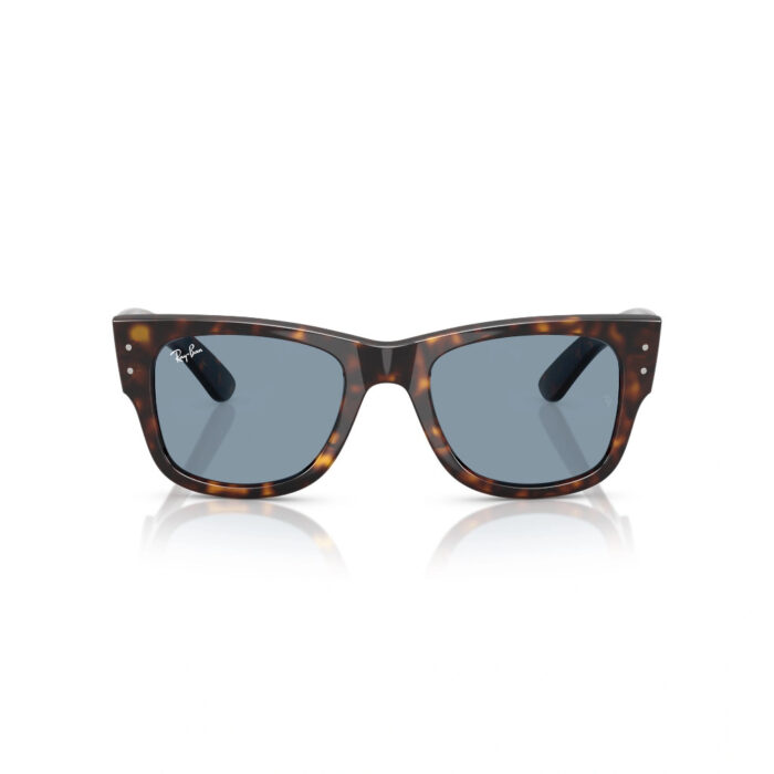 Ray-Ban SOLE RB0840S - immagine 2